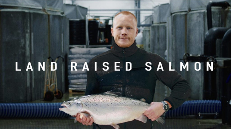 Danish Salmon A/S
